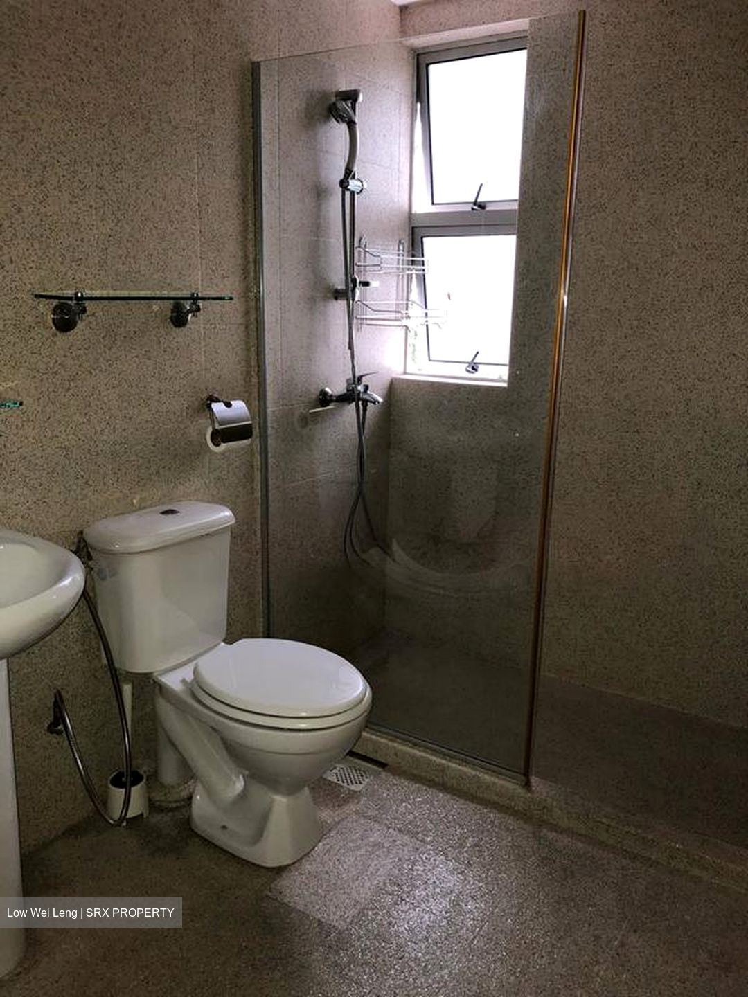 Leonie Towers (D9), Apartment #533459321